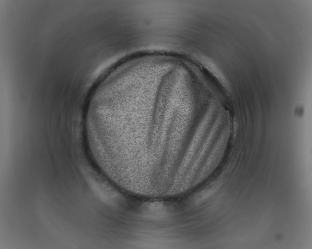 X0000092010588200709271531