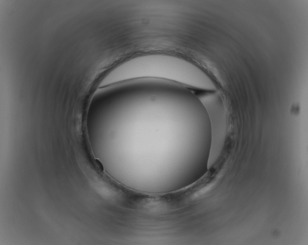 X0000092010589200709271531