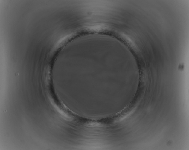 X0000092010590200709271531