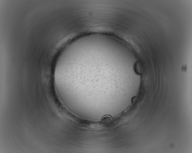 X0000092010591200709271531