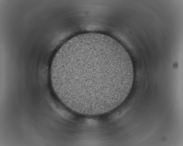 X0000092010592200709271531