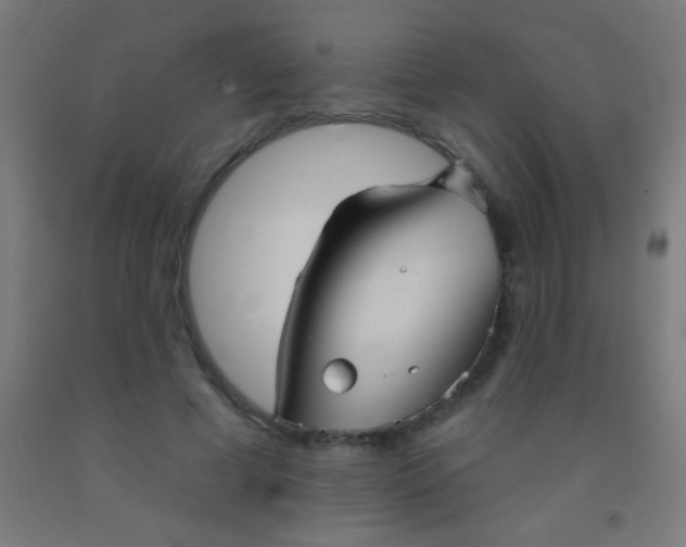 X0000092010593200709271530