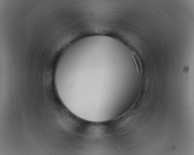 X0000092010595200709271530