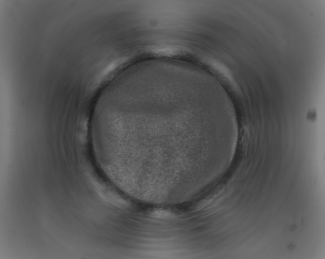 X0000092010596200709271530