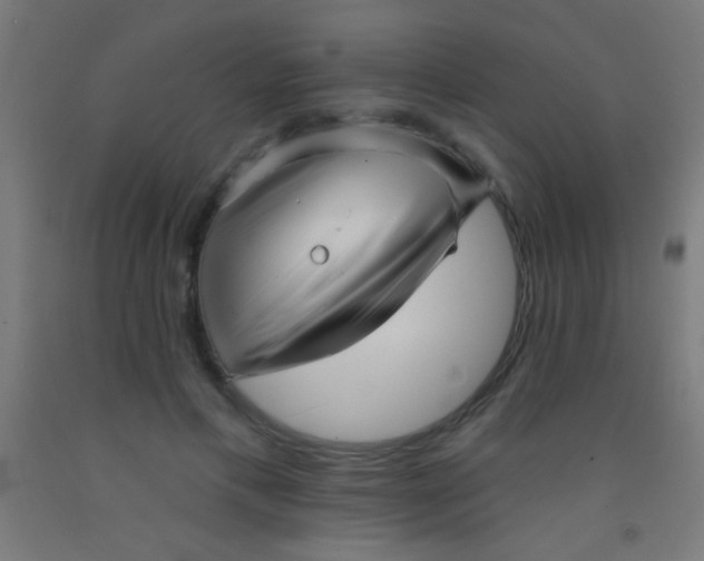 X0000092010597200709271530