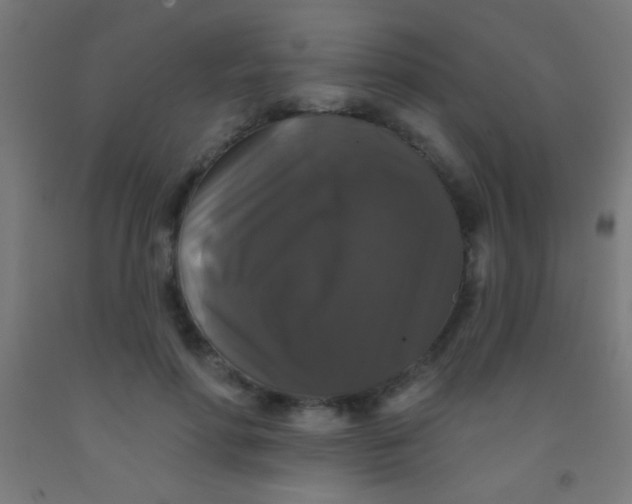 X0000092010598200709271530