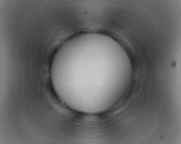 X0000092010599200709271530