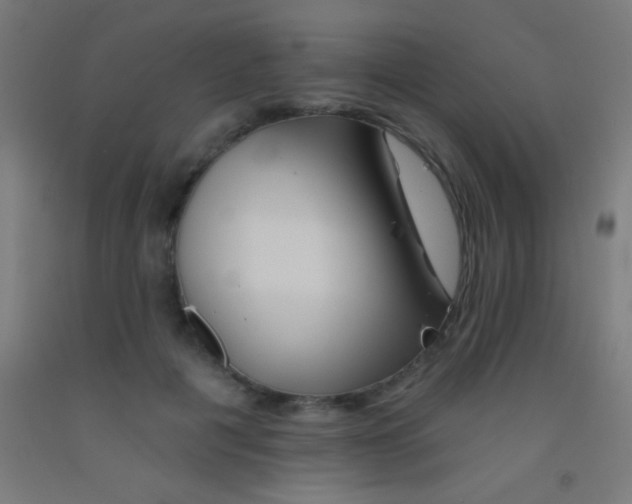 X0000092010601200709271530