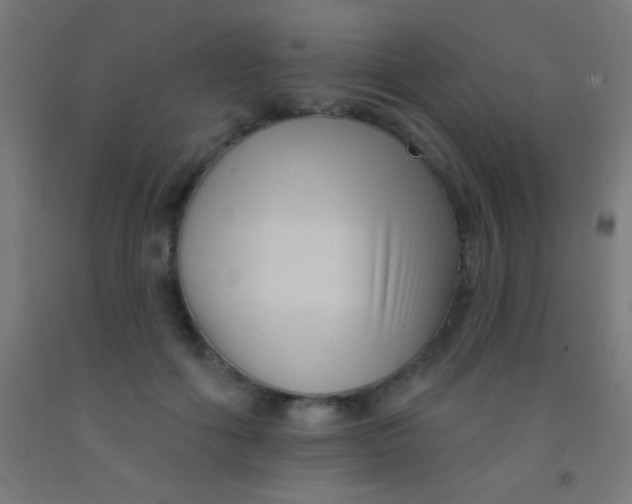 X0000092010602200709271530