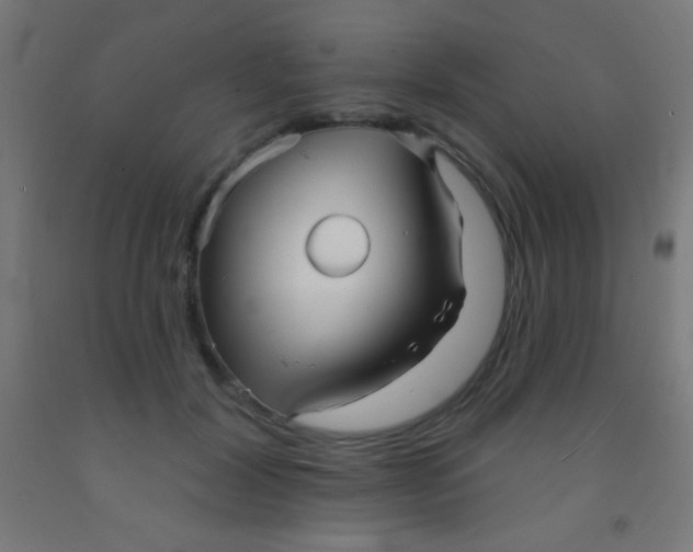 X0000092010604200709271530