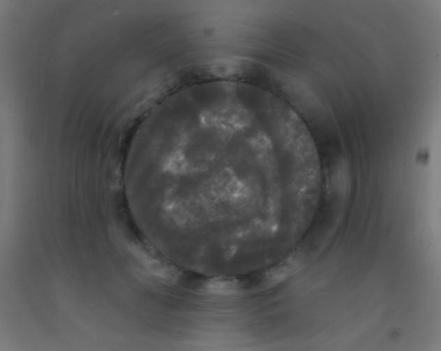 X0000092010606200709271530