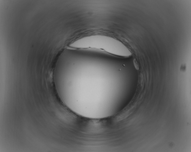 X0000092010613200709271530