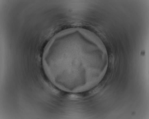 X0000092010614200709271530