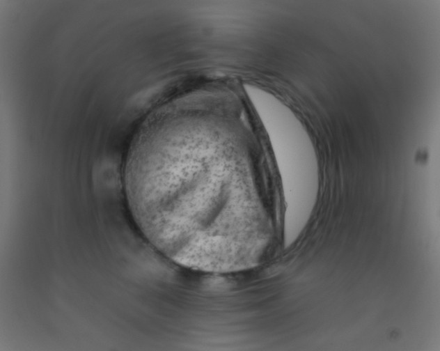 X0000092010616200709271530