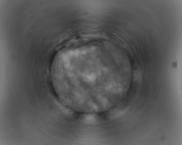 X0000092010618200709271530