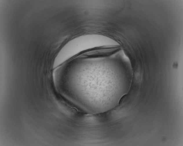 X0000092010620200709271530