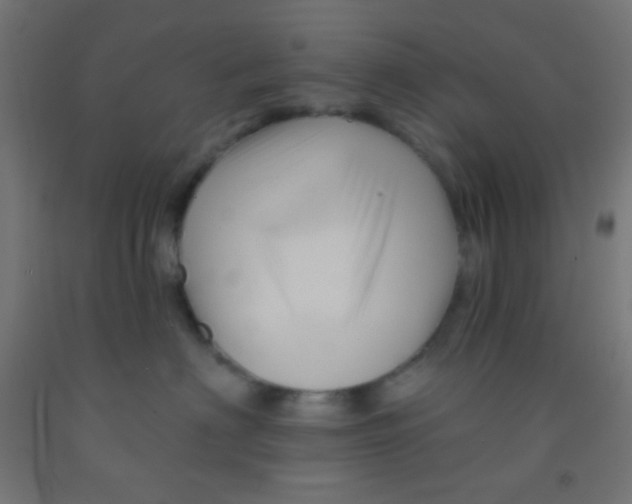 X0000092010622200709271530