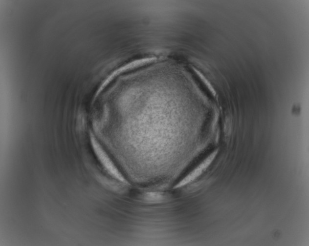 X0000092010623200709271530