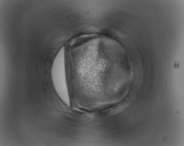 X0000092010624200709271530