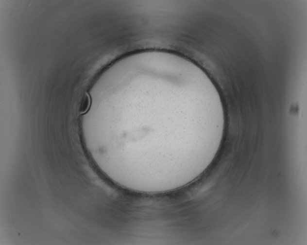 X0000092010625200709271530