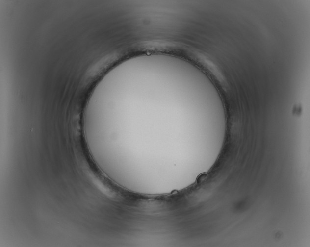 X0000092010633200709271530