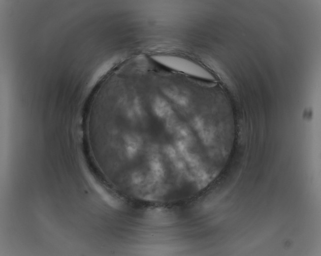 X0000092010634200709271530