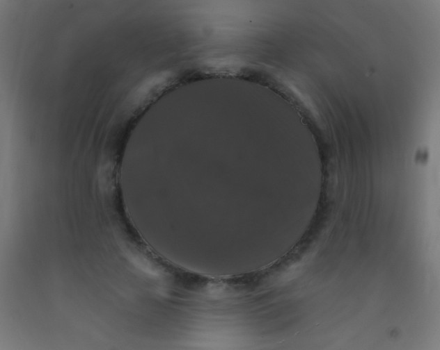 X0000092010641200709271530