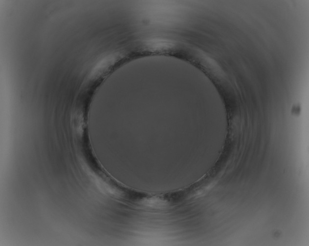 X0000092010644200709271530