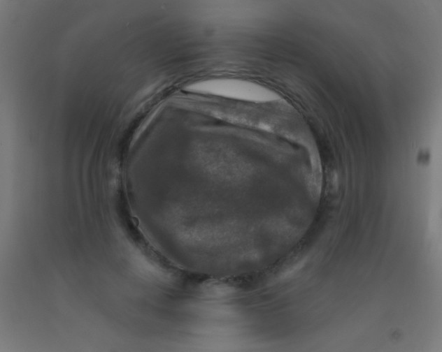 X0000092010648200709271530