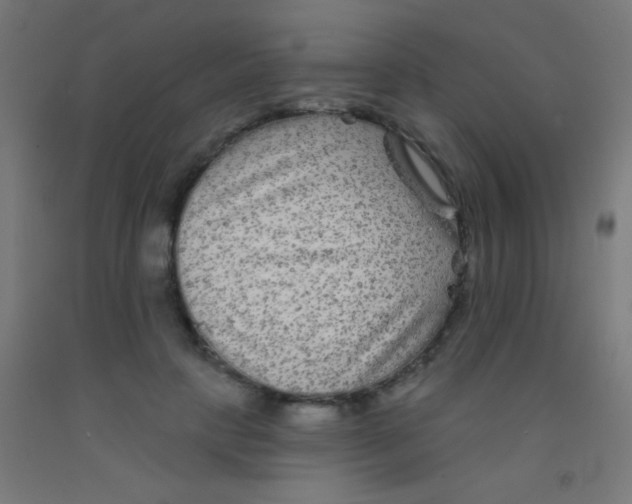 X0000092010649200709271530