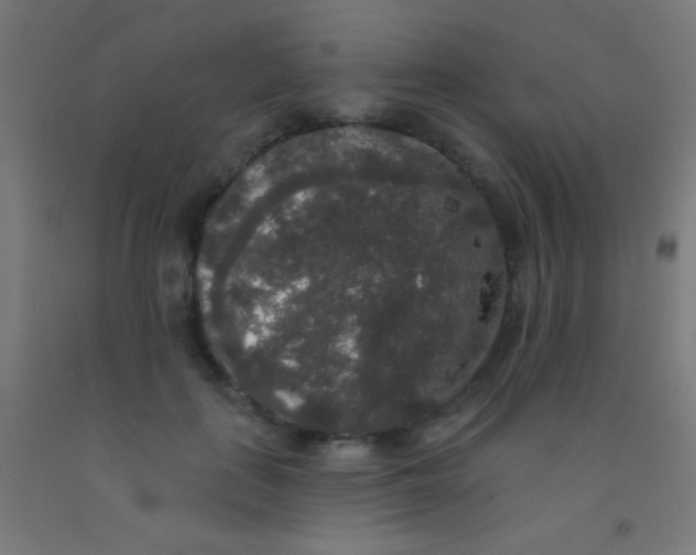 X0000092010651200709271530