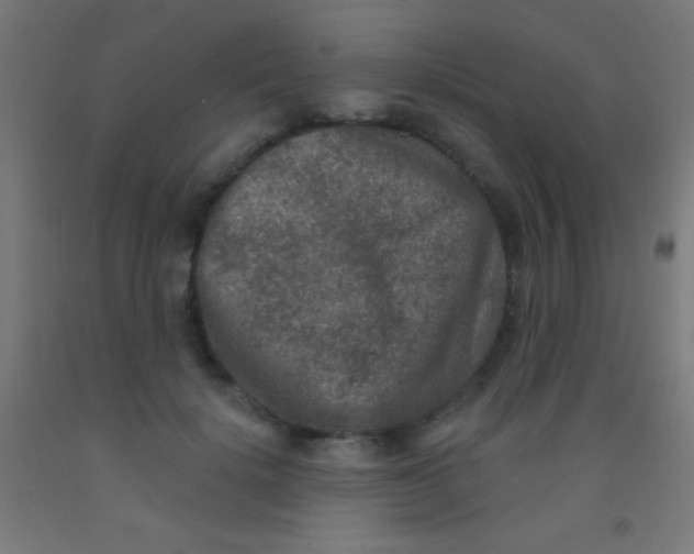 X0000092010652200709271530