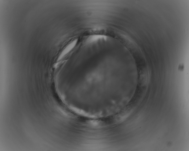 X0000092010654200709271530