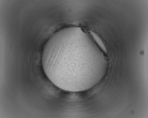 X0000092010656200709271530