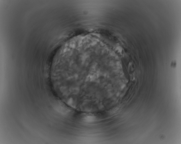 X0000092010658200709271530