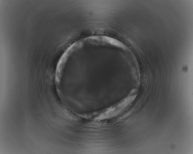 X0000092010661200709271530