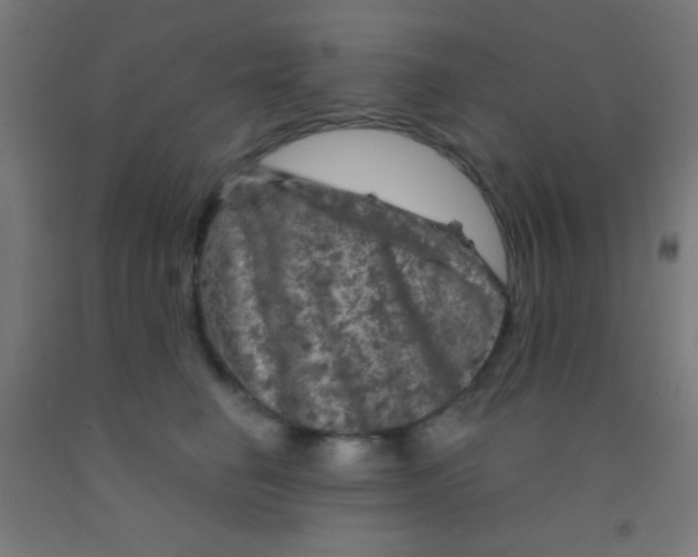 X0000092010662200709271530