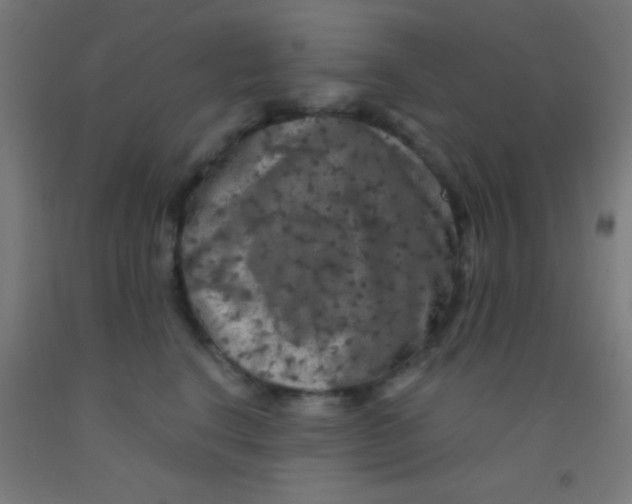 X0000092010664200709271530