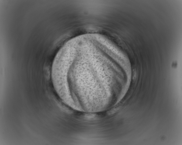 X0000092010666200709271530