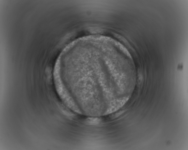 X0000092010667200709271530