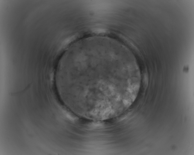 X0000092010668200709271530