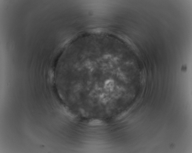 X0000092010669200709271530