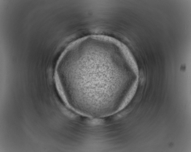 X0000092010670200709271530