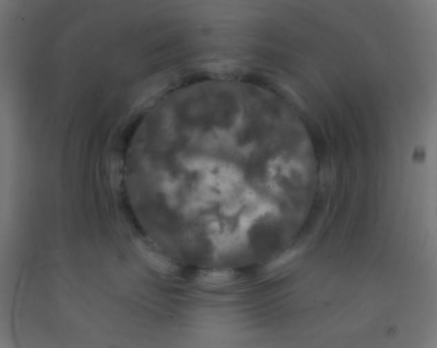 X0000092010671200709271530