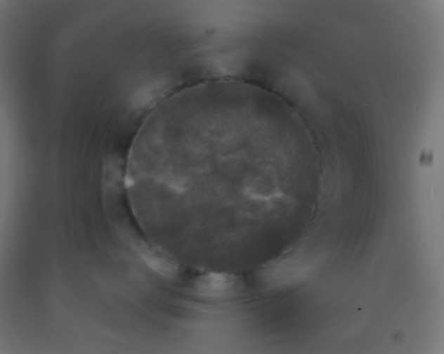 X0000092010672200709271530