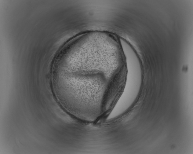 X0000092010673200709271529