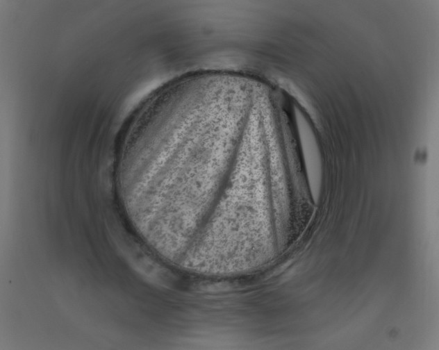 X0000092010675200709271529