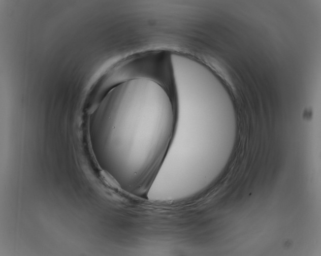 X0000092010676200709271529