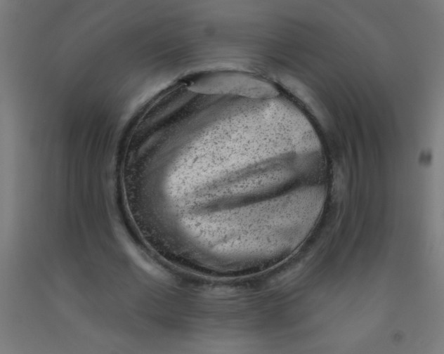 X0000092010677200709271529