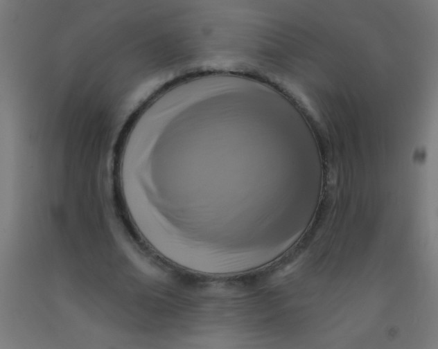 X0000092010678200709271529